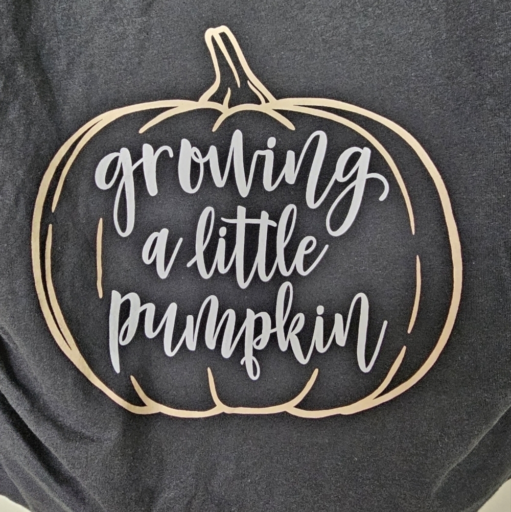 Bloom Maternity - Growing A Little Pumpkin - Maternity Scoop Neck T-Shirt, L - Picture 9 of 11